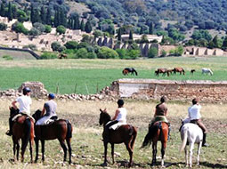Rutas a caballo y espectáculos  en Finca Almuzara (7 km de la finca)