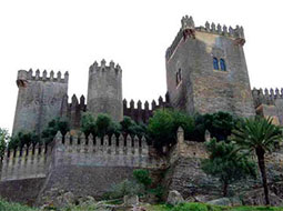 Castillo de Almodóvar Del Río (11 km de la finca)