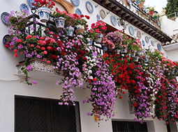 Concurso Rejas y Balcones, Córdoba