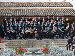 Concerts at Viana Palace - Spanish